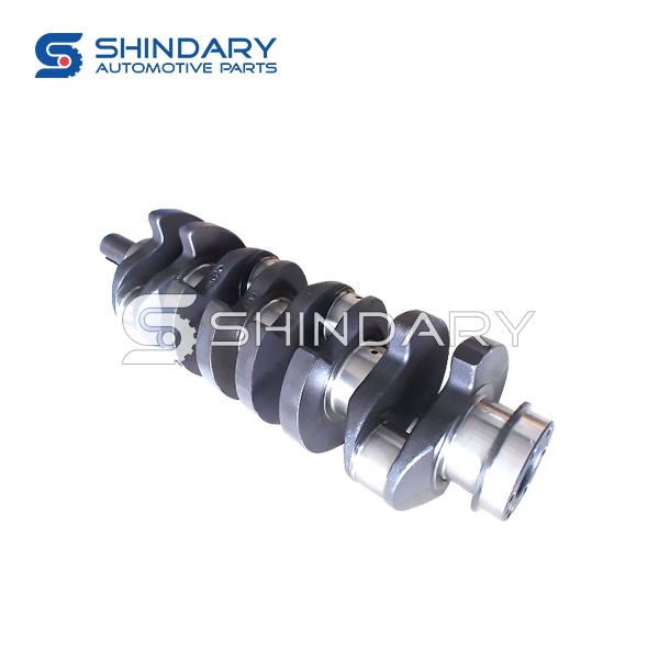 Crankshaft Assy 1006.1024 for CNJ 7T NJP3041ZFP33M