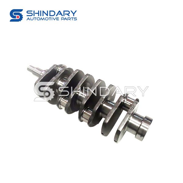 Crankshaft Assy 4651A1005022 for SAIC 