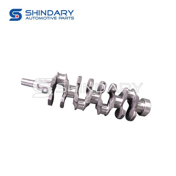 Crankshaft Assy 491Q-1005015 for JINBEI 