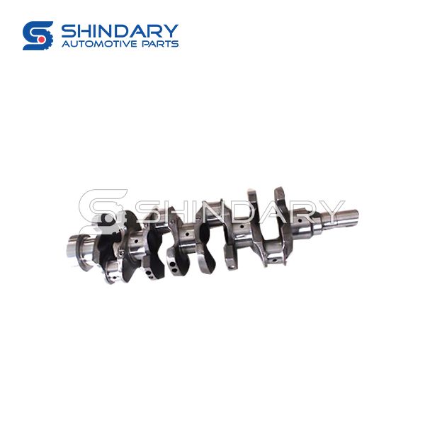 Crankshaft Assy BQ1005015 for ZX AUTO 