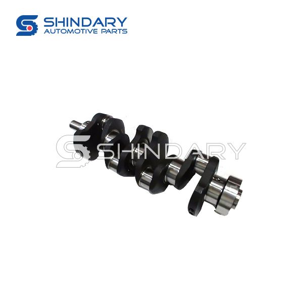 Crankshaft Assy E049304000057 for FOTON 