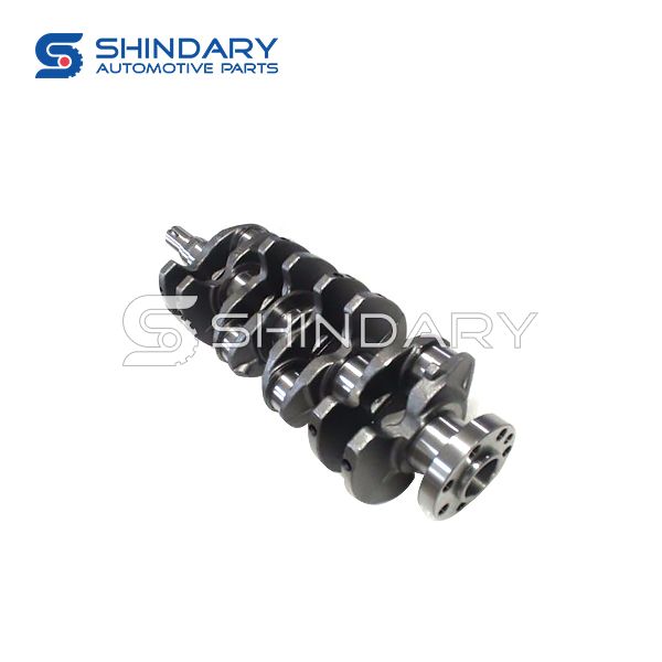 Crankshaft Assy S1005L21153-50003 for JAC J5