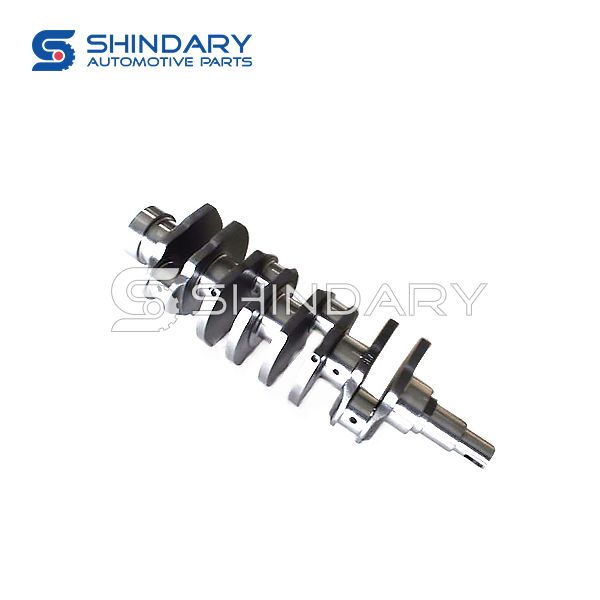 Crankshaft Assy YH1005001-465Q-1E for CHANA-KY SC1021CD1 2013 ZS465MY