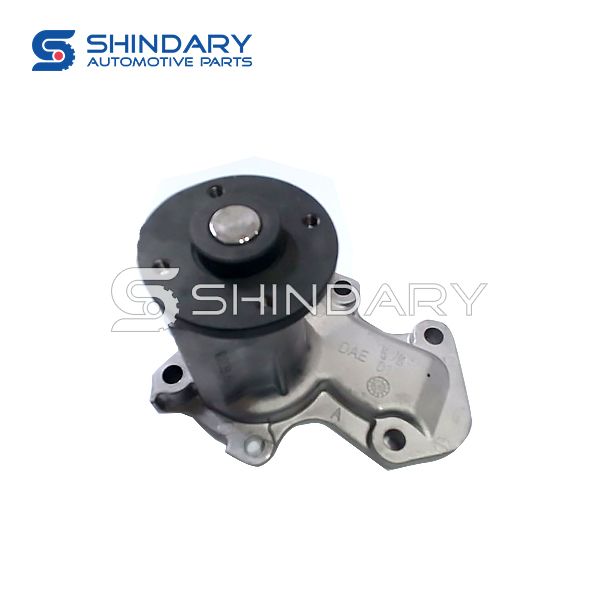 Water Pump DAED101001 for CHANGAN  CX70