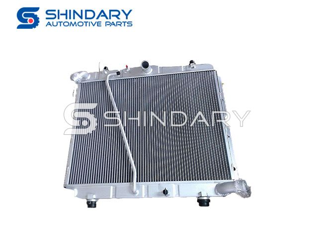 Radiator 16400-V1001 for JOYLONG 