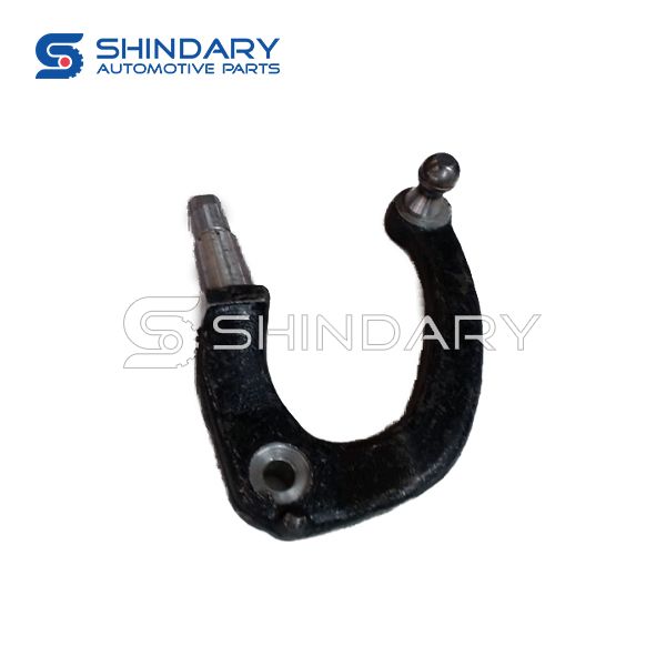 ball joint 300113501 for JMC New Carrying