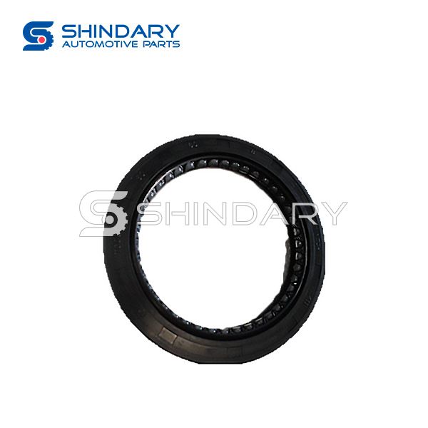 Crankshaft rear seal 1002060A0300 for DFSK K01-