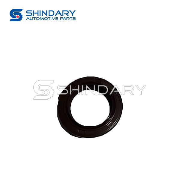 Crankshaft front seal 1011200A0300 for DFSK K01-