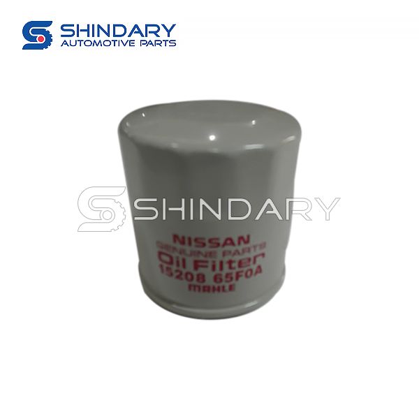 Oil Filter Assy 1520865F0E for NISSAN QASHQAI