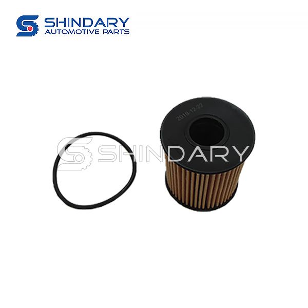 Oil Filter Assy 1603003 for DFM AX7