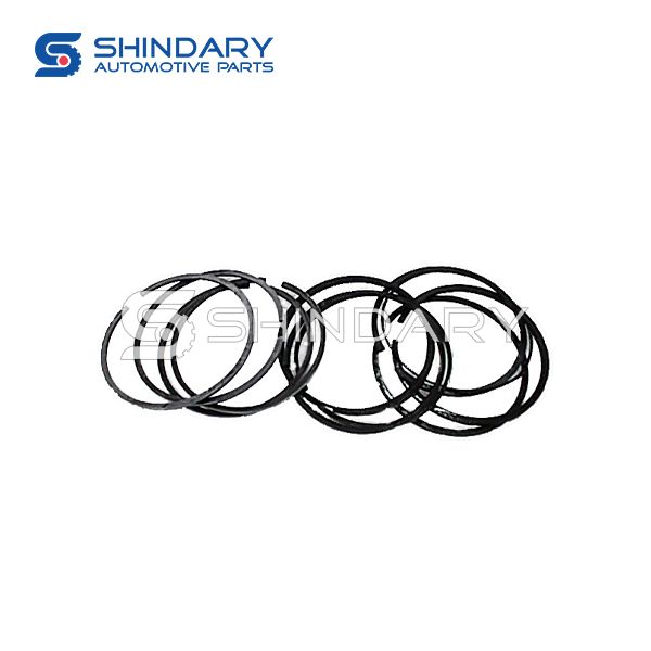 Piston ring kit 1004020-E06 for GREAT WALL 2,5 DIESEL/WUINGLE3/JINBEI H1 2,8