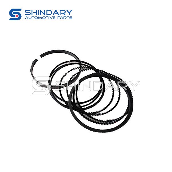 Piston ring kit 1004030B0000 for DFSK BG13-03 Engine