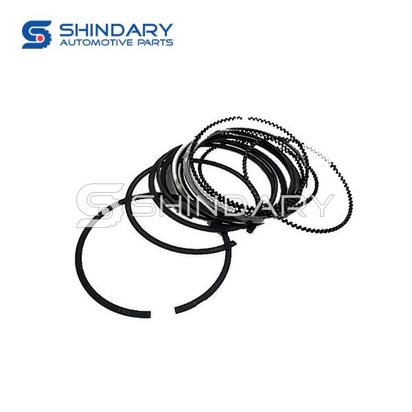 Piston ring kit 1004030K0000 for DFSK GLORY 560