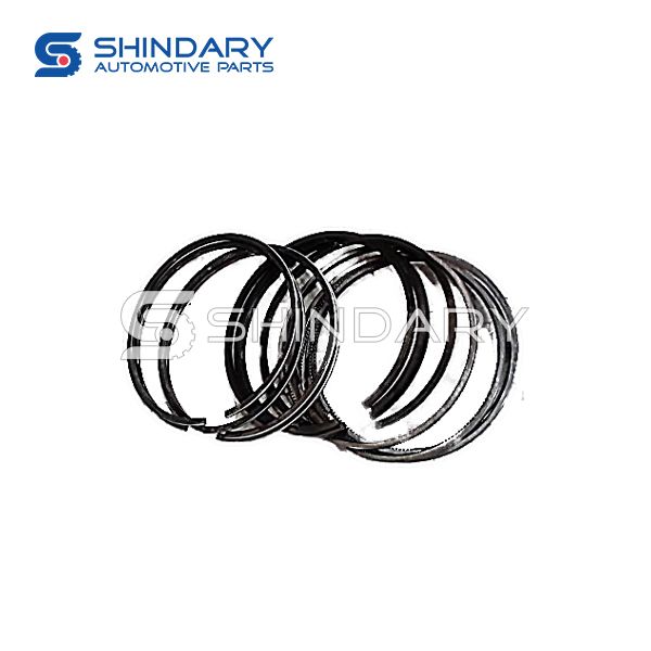 Piston ring kit 1004100-ED01 for GREAT WALL WINGLE 5