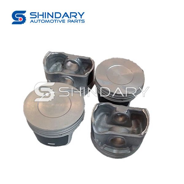 Piston 1401008 for DFM 