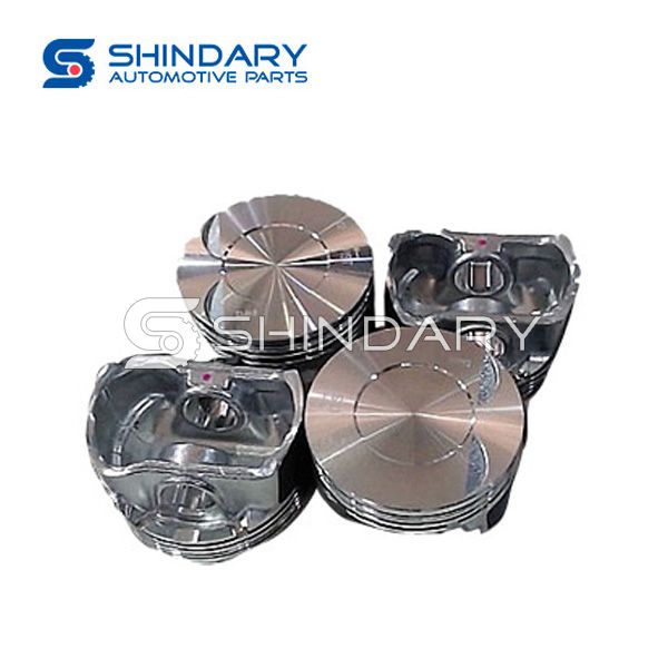 Piston 1401009 for DFM 