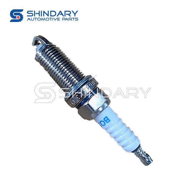 Spark Plug 2503007 for DFM AX7