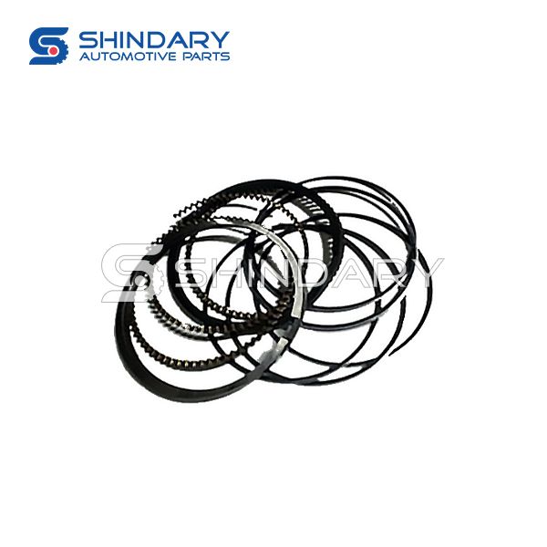 Piston ring kit 372-1DE11004030 for CHERY Q22L