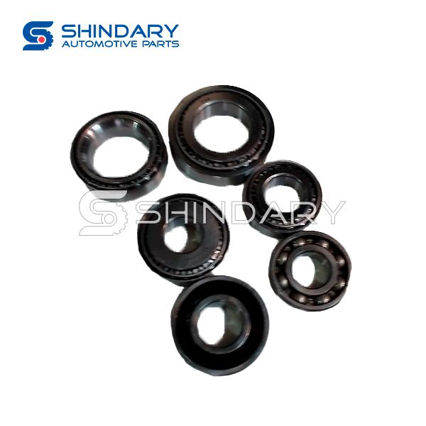 Bearing 5T09-1701KIT for BYD 