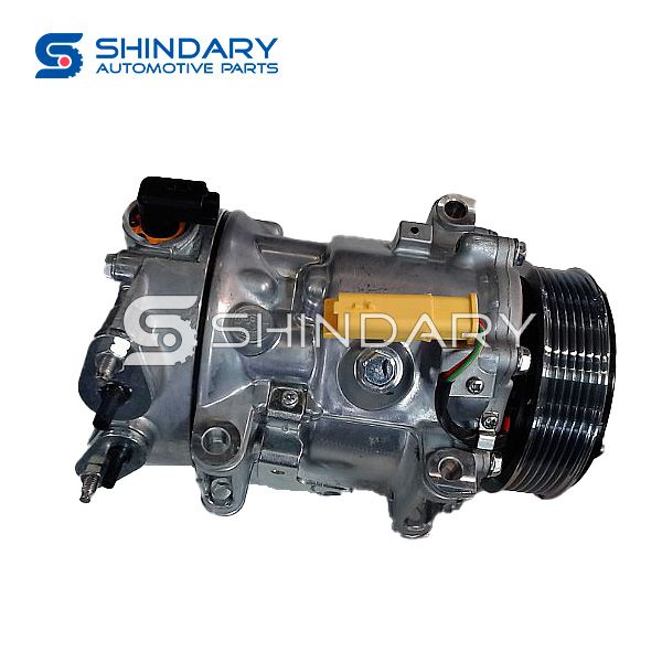 Compressor Assy B010130 for DFM 