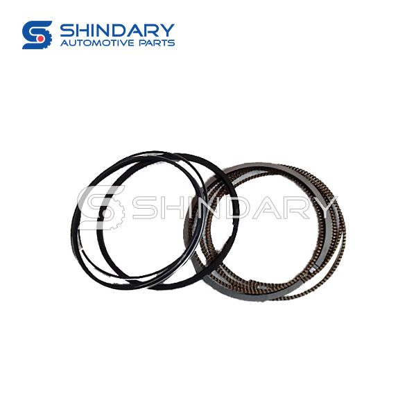 Piston ring kit E4G16-BJ1001030-050 for CHERY TIGGO 1.6