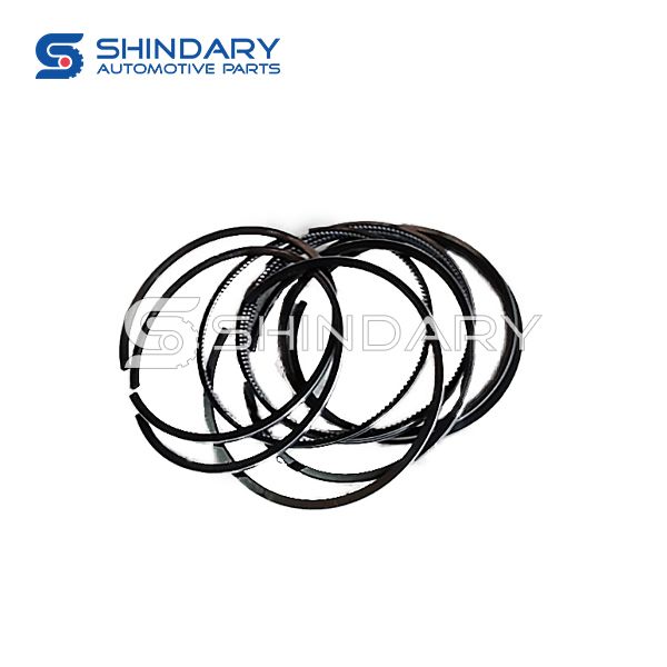 Piston ring kit F5200000-PJHZ for JAC 