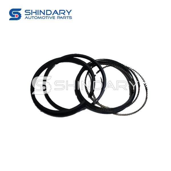 Piston ring kit H16005-0003 for CHANGAN 