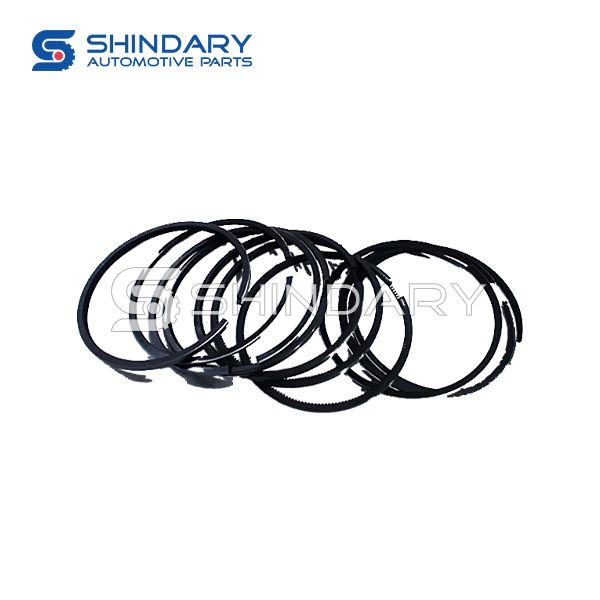 Piston ring kit K1010001-PJHZ for JAC 