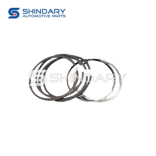 Piston ring kit S1004L21153-50006 for JAC J5