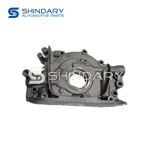 Oil Pump Assy 1011100-B00-00 for DFSK 