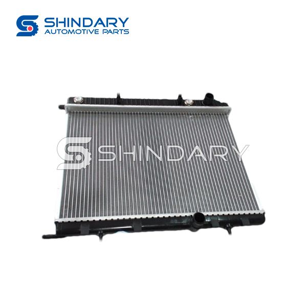 Radiator 2801001 for DFM 