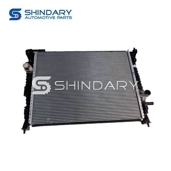 Radiator B013688 for DFM 