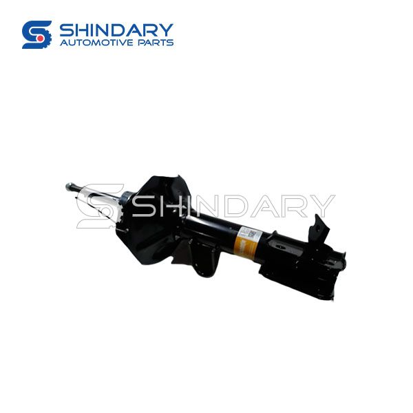 Front shock absorber，R A862905210 for ZOTYE Z100