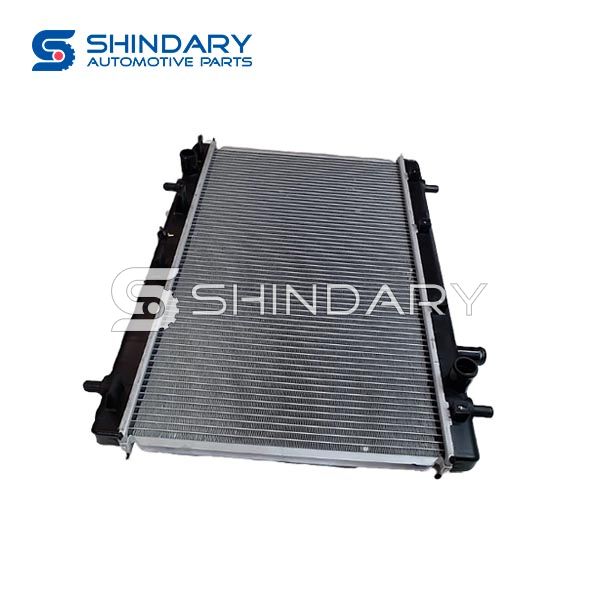 Radiator Assy 1301180-BB010-A000000 for SHINERAY X30/X30L