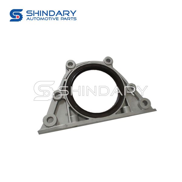 Crankshaft rear oil seal 24102274 for CHEVROLET SAIL