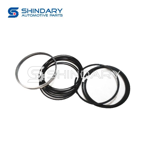 Piston ring 484H-BJ1004030 for CHERY TIGGO