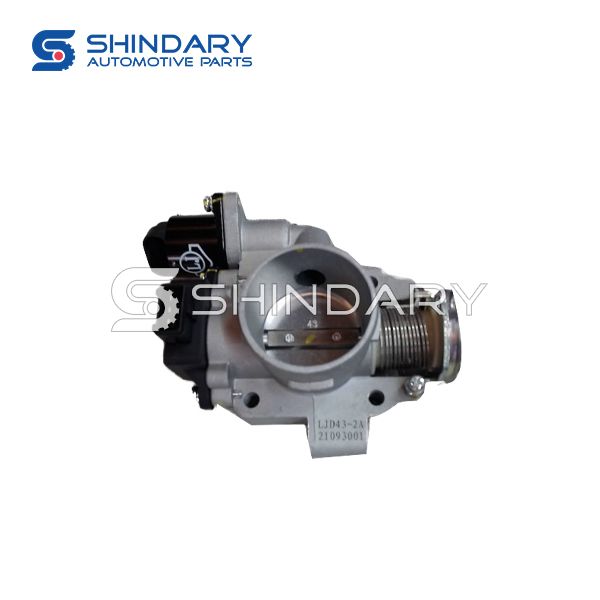 Throttle body assembly 1108200-C1200-AA00000 for SHINERAY X30