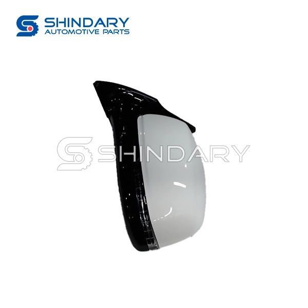 Mirror 8202100XKV08A for GREAT WALL HAVAL H9