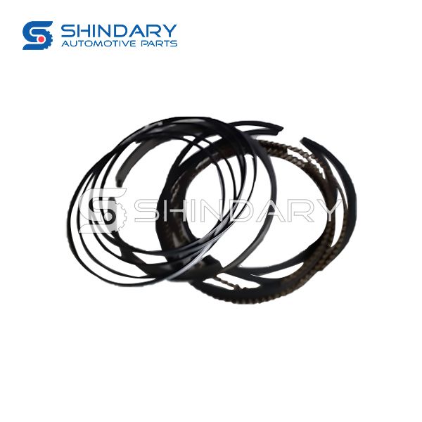 Piston ring kit 1004011-13 for ZOTYE