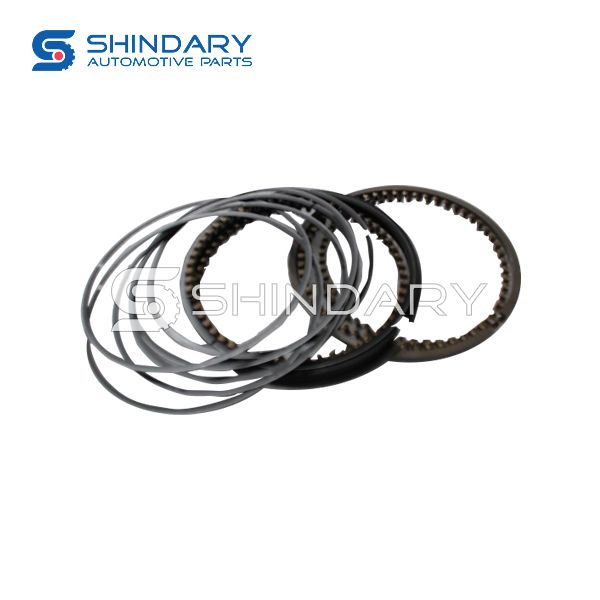 Piston ring kit 10041000 for GREAT WALL