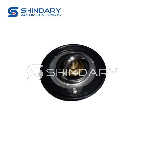 Thermostat 1723001 for DONGFENG AX4