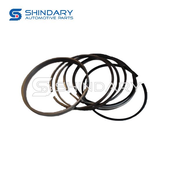 Piston ring kit D056 for ZNA