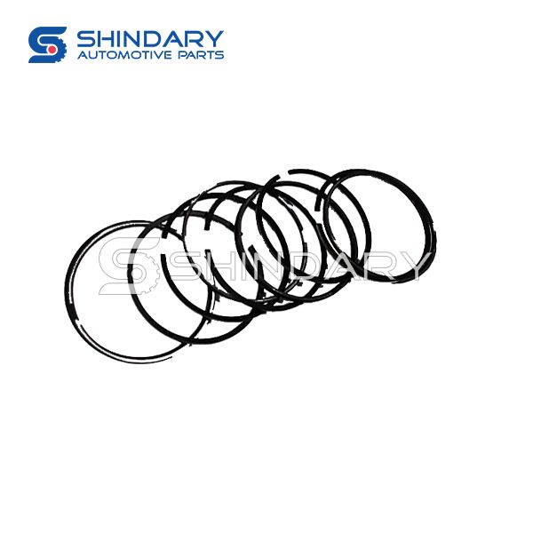 Piston ring kit 1004024FA01-BJ for JAC