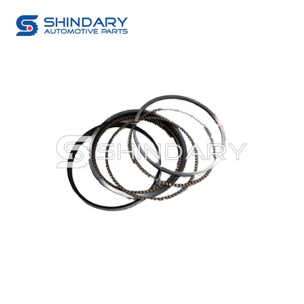 Piston ring kit 10046260 for MG