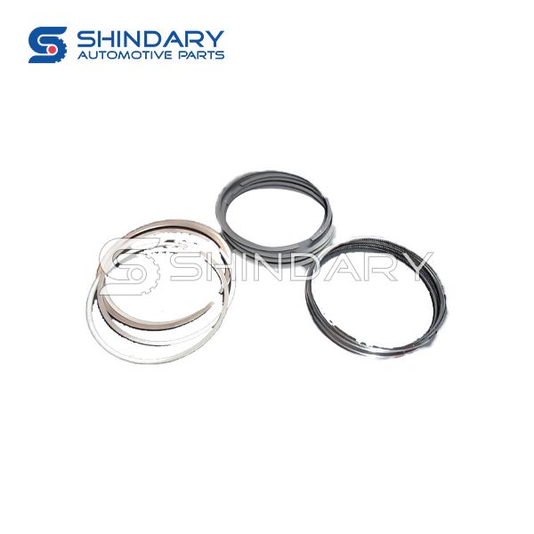 Piston ring kit 1004900XEC01 for GREAT WALL