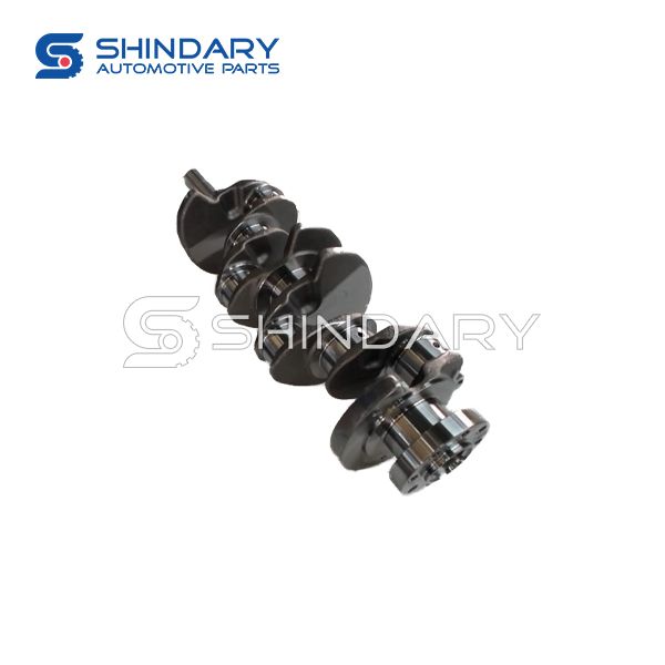 Crankshaft assembly 1005011FD020 for JAC X200