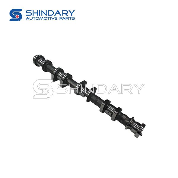 CAMSHAFT ASSY 1006030GG010 for JAC