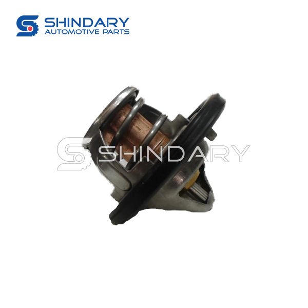 Thermostat assembly 1306010-05 for ZOTYE