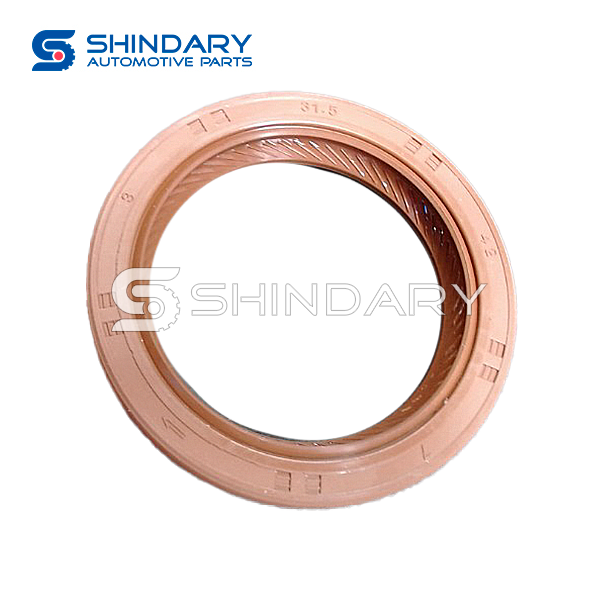 Crankshaft front oil seal 24447223 for CHEVROLET