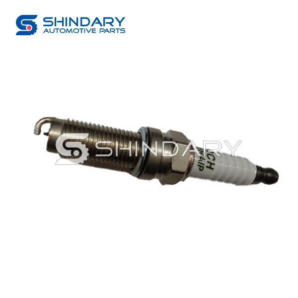 Spark plug 2503009 for DFM